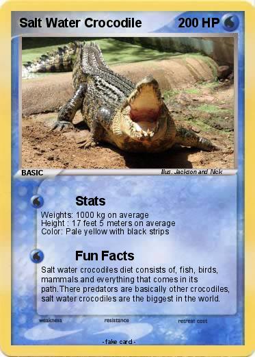 Pokemon Salt Water Crocodile