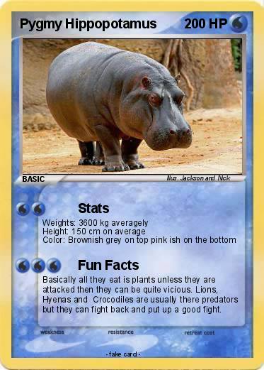 Pokemon Pygmy Hippopotamus