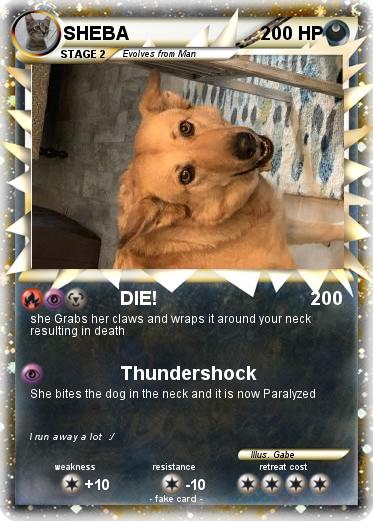 Pokemon SHEBA