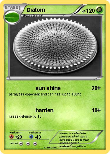 Pokemon Diatom