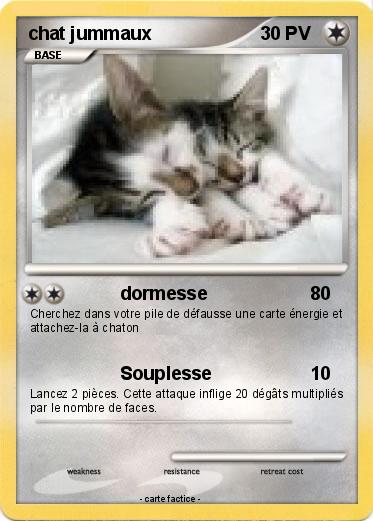 Pokemon chat jummaux