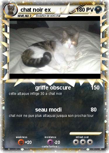 Pokemon chat noir ex