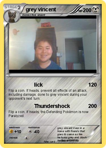 Pokemon grey vincent