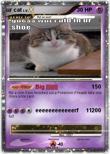 Pokemon ur cat