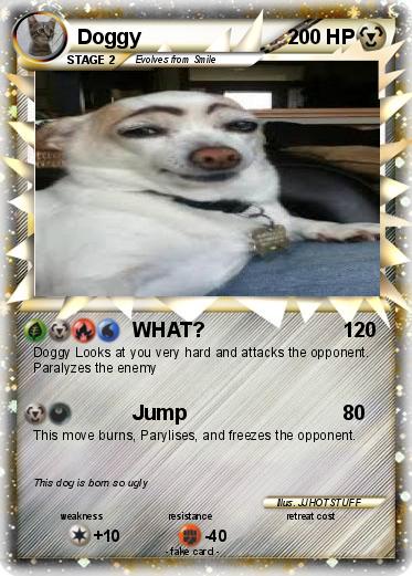 Pokemon Doggy