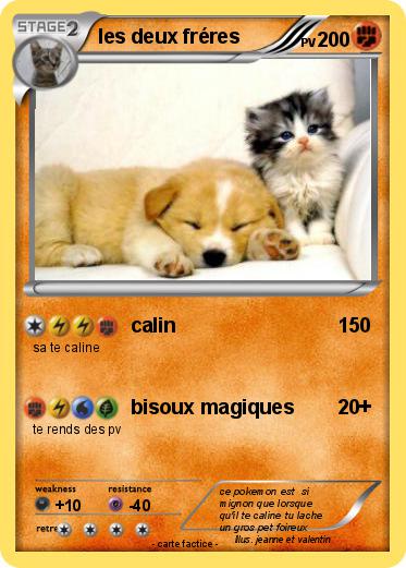 Pokemon les deux fréres