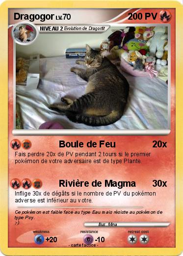 Pokemon Dragogor