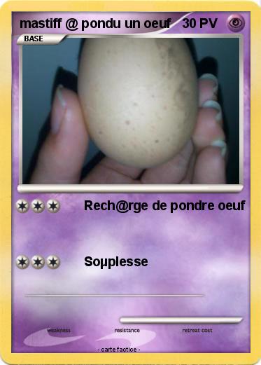 Pokemon mastiff @ pondu un oeuf