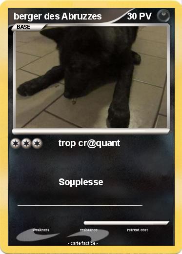 Pokemon berger des Abruzzes