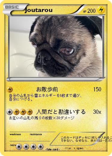 Pokemon Joutarou
