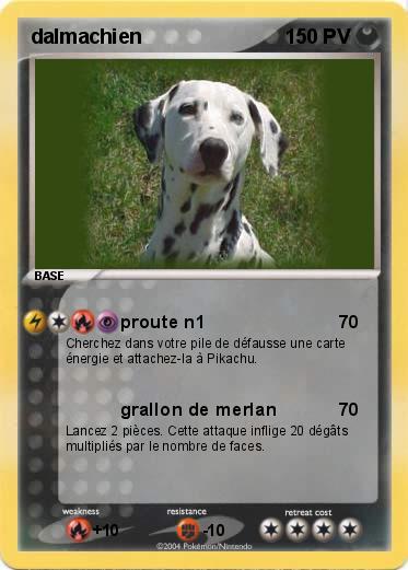 Pokemon dalmachien