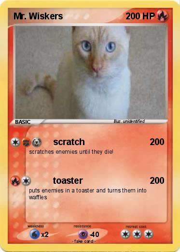 Pokemon Mr. Wiskers