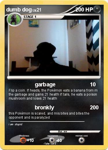 Pokemon dumb dog