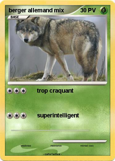 Pokemon berger allemand mix