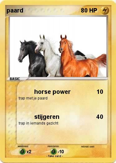 Pokemon paard