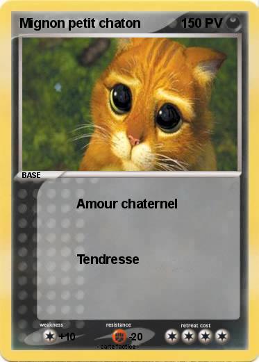 Pokemon Mignon petit chaton