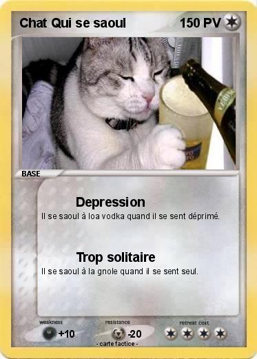 Pokemon Chat Qui se saoul
