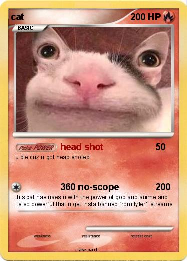 Pokemon cat