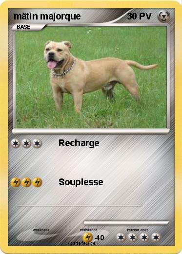 Pokemon mâtin majorque