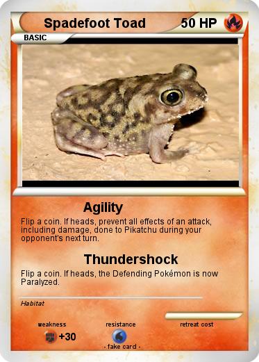 Pokemon Spadefoot Toad