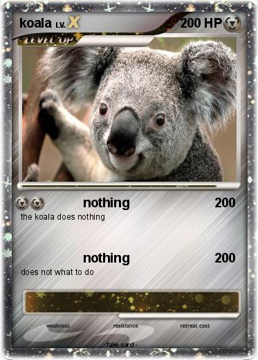 Pokemon koala