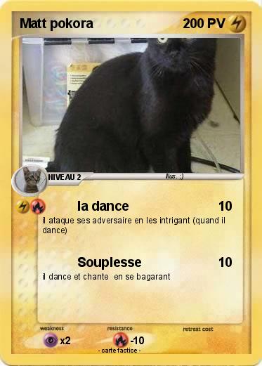 Pokemon Matt pokora