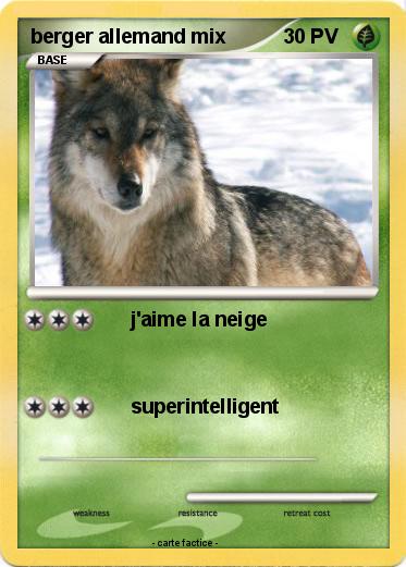 Pokemon berger allemand mix