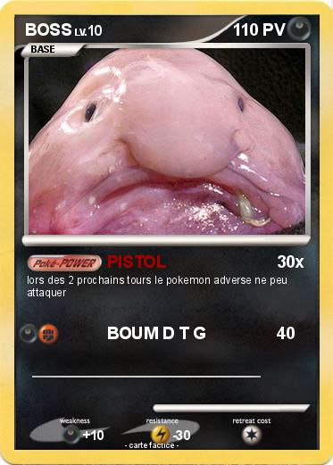 Pokemon BOSS