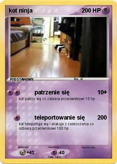 Pokemon kot ninja