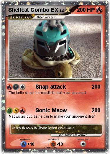 Pokemon Shellcat Combo EX