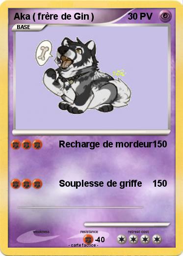 Pokemon Aka ( frère de Gin )