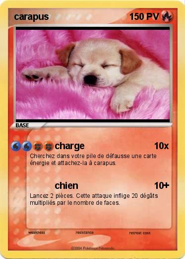 Pokemon carapus