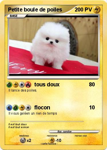 Pokemon Petite boule de poiles