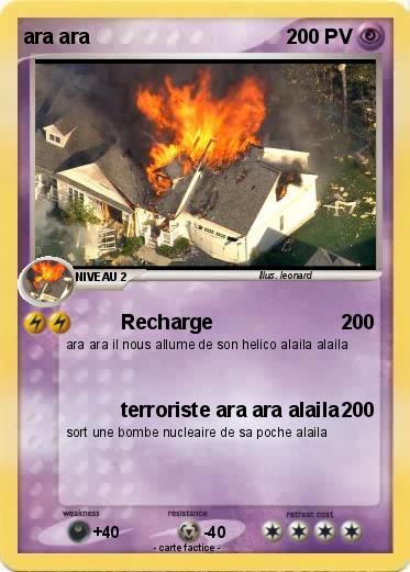 Pokemon ara ara