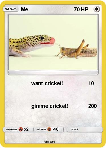 Pokemon Me