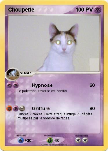 Pokemon Choupette
