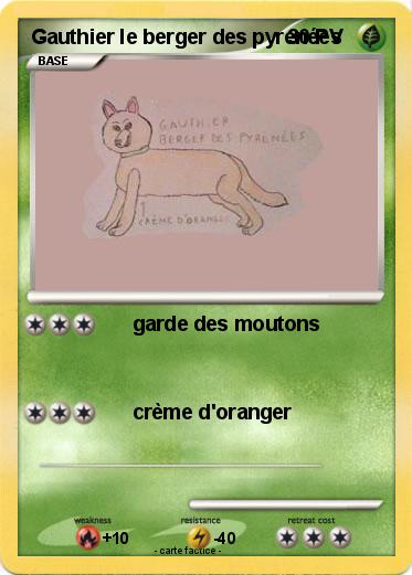 Pokemon Gauthier le berger des pyrenées