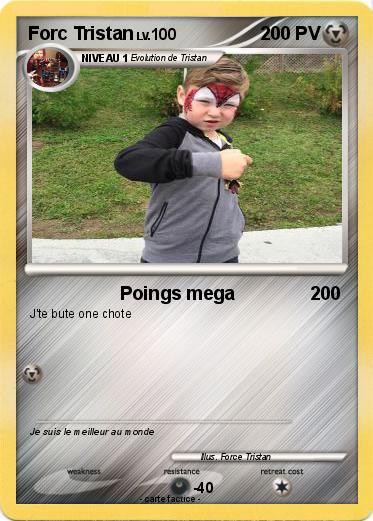 Pokemon Forc Tristan