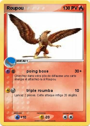 Pokemon Roupou