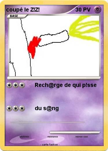 Pokemon coupé le Z!Z!