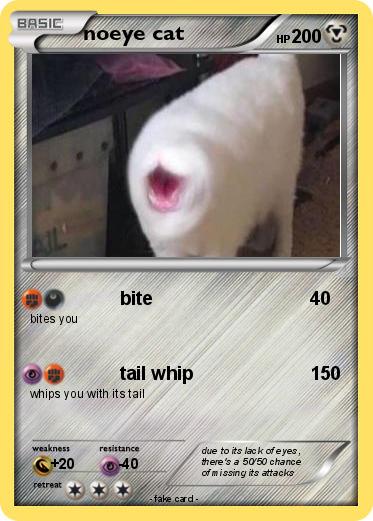 Pokemon noeye cat