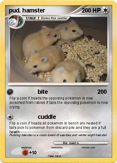 Pokemon pud. hamster