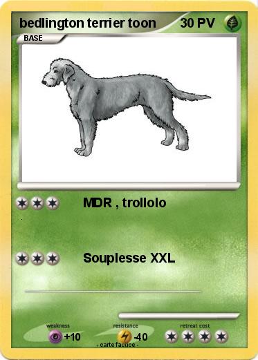 Pokemon bedlington terrier toon