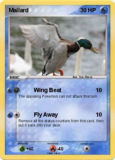 Pokemon Mallard
