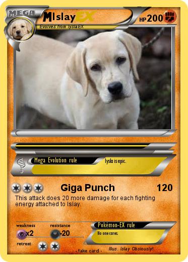 Pokemon Islay