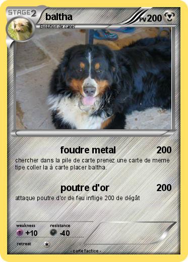 Pokemon baltha