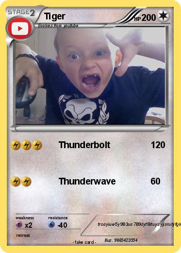 Pokemon Tiger