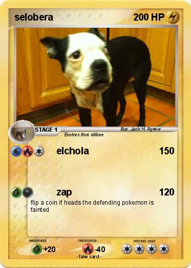Pokemon selobera