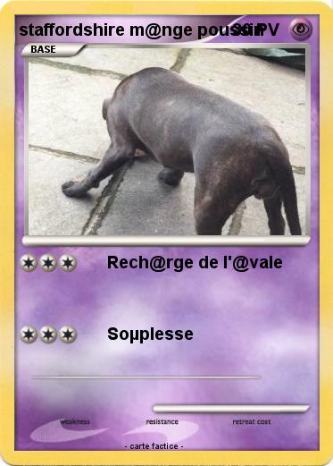 Pokemon staffordshire m@nge poussin