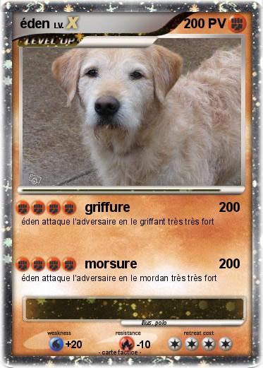 Pokemon éden